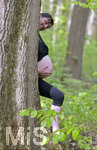 20.04.2019, Schwangere Mutter im 6.Monat. Humor-Foto: Der werdende Vater und die werdende Mutter stehen hinter einem Baum, zu sehen ist der Bauch der Mutter, aber nur der Kopf des Vaters.  Modelreleased.  