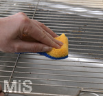 14.02.2020, Hausfrau reinigt den Grill-Rost vom Backofen mit Scheuerschwamm und Scheuermilch.