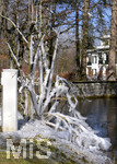 24.02.2020, Kurpark Bad Wrishofen, Der seit Tagen herrschende Ostwind hat aus dem Wasser vom Springbrunnen faszinierende Eis-Skulpturen an einem Baum gebildet. 