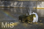 24.02.2020, Kurpark Bad Wrishofen, Der seit Tagen herrschende Ostwind hat aus dem Wasser vom Springbrunnen faszinierende Eis-Skulpturen an einem Baum gebildet. 