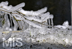 24.02.2020, Kurpark Bad Wrishofen, Der seit Tagen herrschende Ostwind hat aus dem Wasser vom Springbrunnen faszinierende Eis-Skulpturen an einem Baum gebildet. 