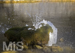 24.02.2020, Kurpark Bad Wrishofen, Der seit Tagen herrschende Ostwind hat aus dem Wasser vom Springbrunnen faszinierende Eis-Skulpturen an einem Baum gebildet. 