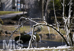 24.02.2020, Kurpark Bad Wrishofen, Der seit Tagen herrschende Ostwind hat aus dem Wasser vom Springbrunnen faszinierende Eis-Skulpturen an einem Baum gebildet. 