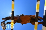 13.06.2020,  Springreiten, Trainings-Springen in Bissingen/Zoltingen Reitanlage Zoller, Pferd springt ber ein Hindernis, aufgenommen aus der Froschperspektive gegen den Himmel.
