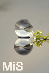 16.06.2020, Mindelheim, Abendlicht mit einem Lensball 