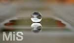 16.06.2020, Mindelheim, Abendlicht mit einem Lensball 