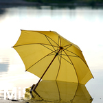 16.06.2020, Mindelheim, Abendlicht, ein gelber Regenschirm im Wasser