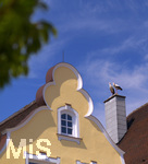 26.05.2020,  Strche in Mindelheim in Bayern, ein Storchenpaar sitzt auf einem Kamin in der Altstadt von Mindelheim.