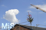 20.07.2020,  Baustelle fr eine Wohnanlage in einem Wohngebiet in Mindelheim, der Baum vom Richtfest steht schon auf dem Hausdach.
