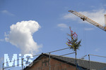 20.07.2020,  Baustelle fr eine Wohnanlage in einem Wohngebiet in Mindelheim, der Baum vom Richtfest steht schon auf dem Hausdach.