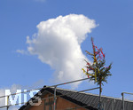 20.07.2020,  Baustelle fr eine Wohnanlage in einem Wohngebiet in Mindelheim, der Baum vom Richtfest steht schon auf dem Hausdach.
