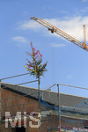 20.07.2020,  Baustelle fr eine Wohnanlage in einem Wohngebiet in Mindelheim, der Baum vom Richtfest steht schon auf dem Hausdach.