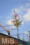 20.07.2020,  Baustelle fr eine Wohnanlage in einem Wohngebiet in Mindelheim, der Baum vom Richtfest steht schon auf dem Hausdach.