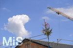 20.07.2020,  Baustelle fr eine Wohnanlage in einem Wohngebiet in Mindelheim, der Baum vom Richtfest steht schon auf dem Hausdach.