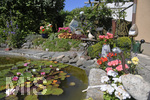 03.08.2020, Blick in einen Garten eines Hauses in Mindelheim (Unterallgu),  Seerosen blhen im kleinen Teich.