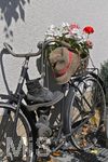 03.08.2020, Blick in einen Garten eines Hauses in Mindelheim (Unterallgu),  Ein altes Fahrrad zur Zierde.