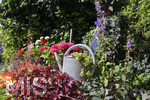 03.08.2020, Blick in einen Garten eines Hauses in Mindelheim (Unterallgu),  Blumenbeet mit Giesskanne zur Zierde.