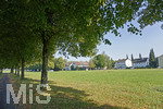 16.09.2020, Bad Wrishofen (Unterallgu), Baumallee im Norden am knftigen Baugebiet am Grtnerweg, Ecke Erlenweg.