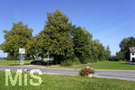 16.09.2020, Bad Wrishofen (Unterallgu), Baumallee im Norden, am Grtnerweg. 