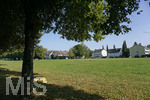 16.09.2020, Bad Wrishofen (Unterallgu), Baumallee im Norden am knftigen Baugebiet am Grtnerweg, Ecke Erlenweg.