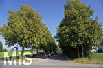 16.09.2020, Bad Wrishofen (Unterallgu), Baumallee im Norden mit Parkplatz, am Grtnerweg.  