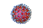 09.10.2020, Grafik, Corona-Virus Mikroskopische Ansicht,  Freisteller
 
