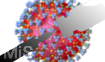 09.10.2020, Grafik, Corona-Virus Mikroskopische Ansicht, mit Impfstoff-Probe im Vordergrund. (Bildmontage)  3D-Grafik: Sofiane Regragui 
 
