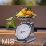 16.10.2020,  Vitaminreiche und schmackhafte Orangen direkt aus der Region Kalabrien in Sditalien in den Allguer Herbst: Der italienische Gastwirt Antonio Cosimo Laquinta, der in Bad Wrishofen das bekannte Italienische Restaurant 