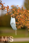 19.10.2020, Symbolbild, Corona-Krise, Eine Einweg-Maske hngt im Baum mit Herbstlaub.