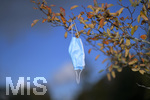 19.10.2020, Symbolbild, Corona-Krise, Eine Einweg-Maske hngt im Baum mit Herbstlaub.