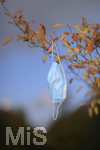 19.10.2020, Symbolbild, Corona-Krise, Eine Einweg-Maske hngt im Baum mit Herbstlaub.