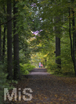 19.10.2020, Herbstspaziergang in einem Wald bei Bad Wrishofen