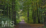 19.10.2020, Herbstspaziergang in einem Wald bei Bad Wrishofen