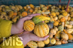 20.10.2020, Verkaufsstand bei Bad Wrishofen fr Krbise.
