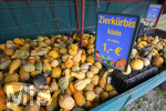 20.10.2020, Verkaufsstand bei Bad Wrishofen fr Krbise.