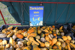 20.10.2020, Verkaufsstand bei Bad Wrishofen fr Krbise.