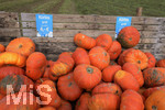 20.10.2020, Verkaufsstand bei Bad Wrishofen fr Krbise.