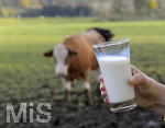 21.10.2020, Symbolbild Milchwirtschaft, Khe auf der Weide im Unterallgu, mit einem frischen Glas Milch im Vordergrund.