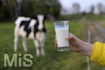21.10.2020, Symbolbild Milchwirtschaft, Khe auf der Weide im Unterallgu, mit einem frischen Glas Milch im Vordergrund.