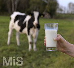21.10.2020, Symbolbild Milchwirtschaft, Khe auf der Weide im Unterallgu, mit einem frischen Glas Milch im Vordergrund.