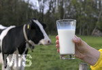21.10.2020, Symbolbild Milchwirtschaft, Khe auf der Weide im Unterallgu, mit einem frischen Glas Milch im Vordergrund.