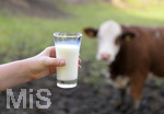 21.10.2020, Symbolbild Milchwirtschaft, Khe auf der Weide im Unterallgu, mit einem frischen Glas Milch im Vordergrund.
