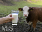 21.10.2020, Symbolbild Milchwirtschaft, Khe auf der Weide im Unterallgu, mit einem frischen Glas Milch im Vordergrund.