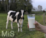 21.10.2020, Symbolbild Milchwirtschaft, Khe auf der Weide im Unterallgu, mit einem frischen Glas Milch im Vordergrund.