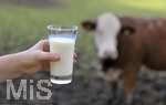 21.10.2020, Symbolbild Milchwirtschaft, Khe auf der Weide im Unterallgu, mit einem frischen Glas Milch im Vordergrund.