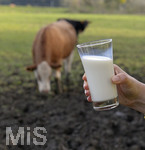 21.10.2020, Symbolbild Milchwirtschaft, Khe auf der Weide im Unterallgu, mit einem frischen Glas Milch im Vordergrund.
