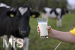 21.10.2020, Symbolbild Milchwirtschaft, Khe auf der Weide im Unterallgu, mit einem frischen Glas Milch im Vordergrund.