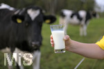 21.10.2020, Symbolbild Milchwirtschaft, Khe auf der Weide im Unterallgu, mit einem frischen Glas Milch im Vordergrund.