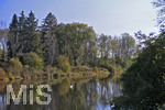 22.10.2020, Bad Wrishofen, Herbst an der Wertach, ein Schwan auf dem Wasser.