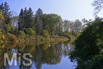 22.10.2020, Bad Wrishofen, Herbst an der Wertach, ein Schwan auf dem Wasser. 